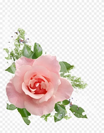 Png形式でダウンロード - Transparent Png Clipart Pink Roses Png
