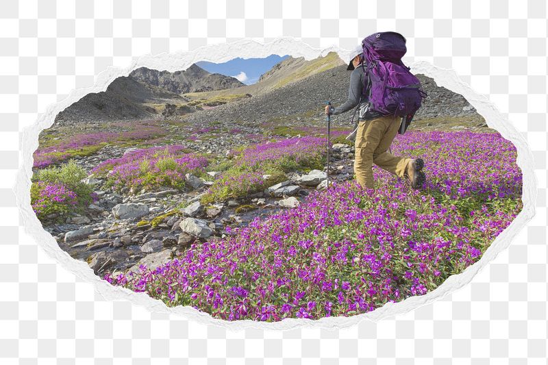 Png traveler in flower field | Free PNG - rawpixel