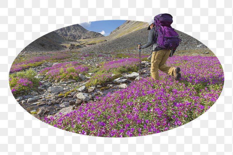 Png traveler in flower field | Free PNG - rawpixel