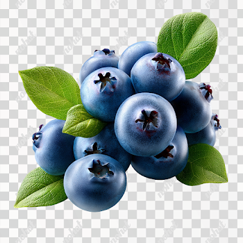 PNG Ultra-Realistic Fresh Wild Blueberries
