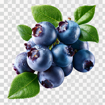 PNG Ultra-Realistic Fresh Wild Blueberries