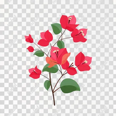 PNG Vector Illustration of Red Bougainvillea Blossom