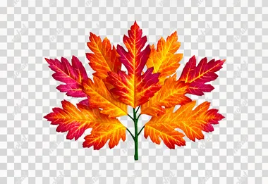 PNG Vibrant Autumn Leaf Macro Shot