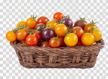 PNG Vibrant Rainbow Cherry Tomatoes in a Rustic Basket PNG Vibrant Rainbow Cherry Tomatoes in a Rustic Basket