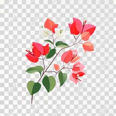 PNG Vibrant Red Bougainvillea Vector Illustration