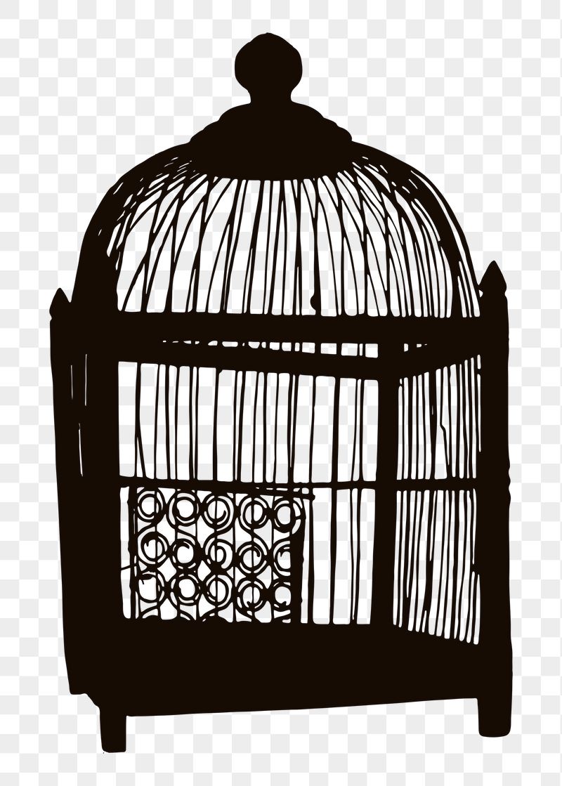 PNG vintage birdcage object sticker | Free PNG - rawpixel