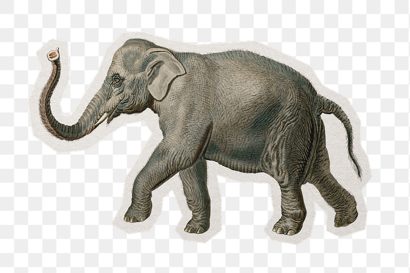 Png vintage elephant sticker, paper | Free PNG - rawpixel