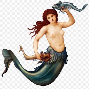 PNG vintage Sea-Nymph sticker, remixed from… | Free stock illustration | High Resolution graphic