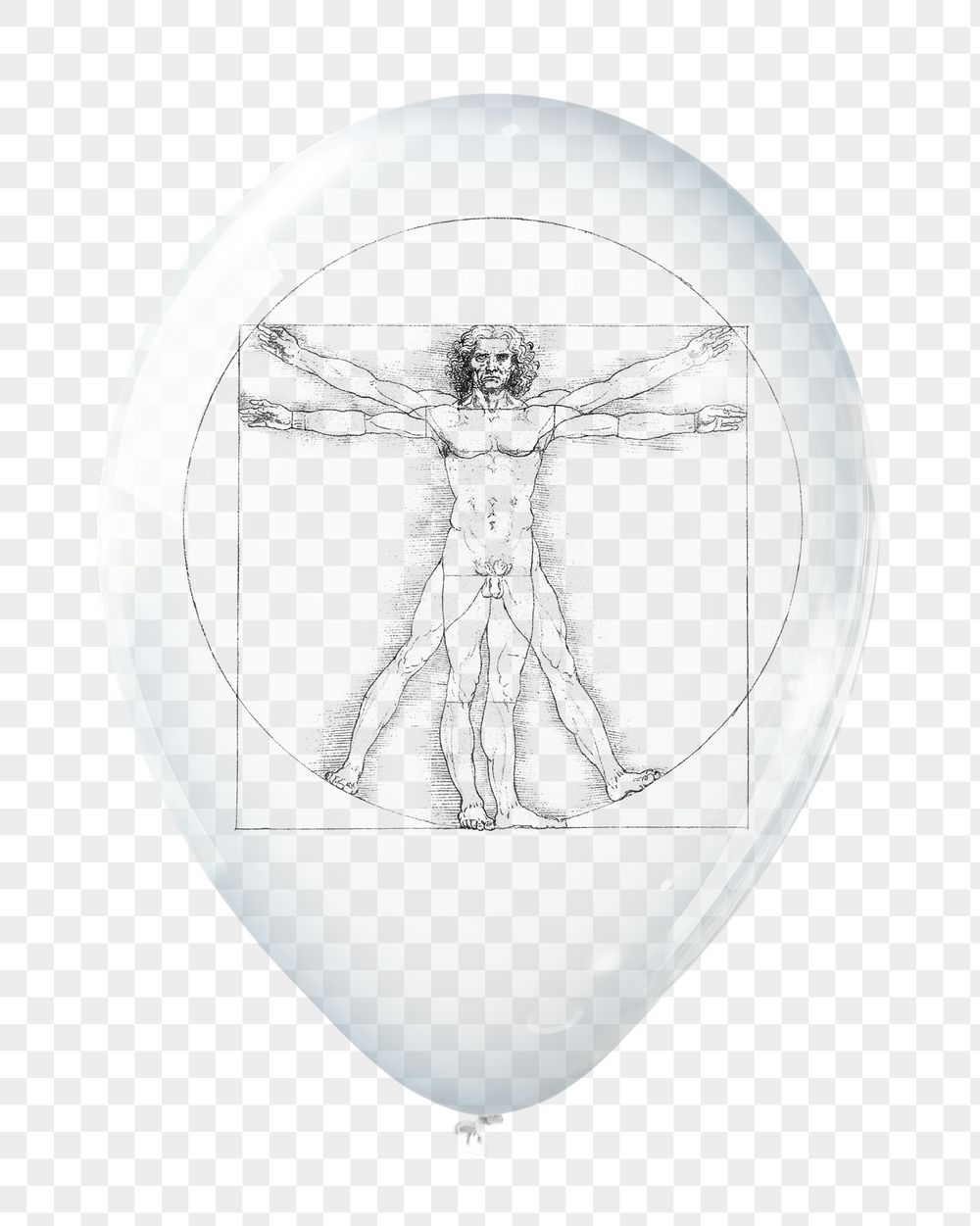 PNG Vitruvian man in clear | Free PNG - rawpixel