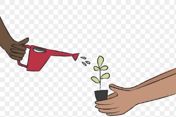 PNG watering plant doodle environment concept | Free stock illustration | High Resolution graphic