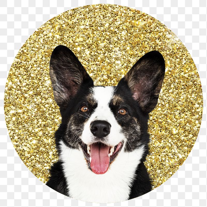 Png Welsh Corgi dog badge | Free PNG - rawpixel