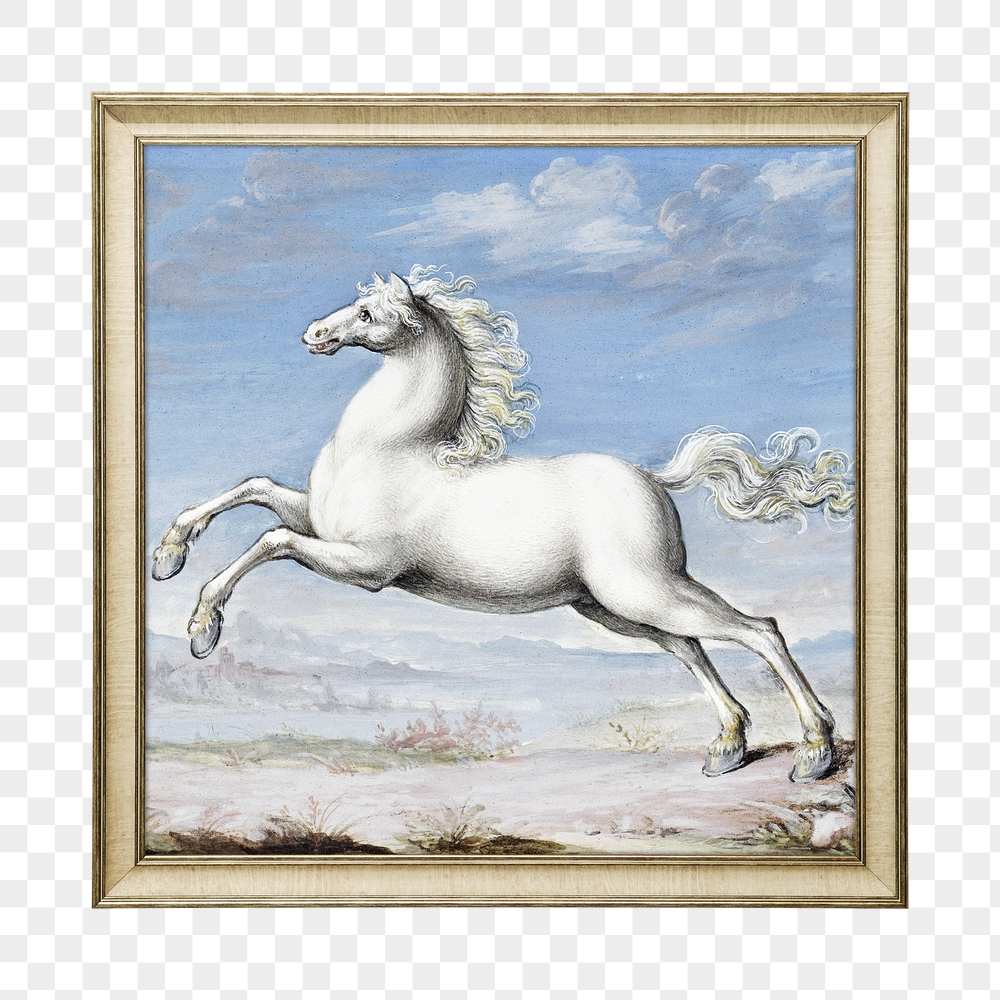 Png White Horse, Joris Hoefnagel, | Free PNG - rawpixel