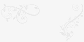 Png White Swirls - White Transparent Swirls Transparent PNG ...
