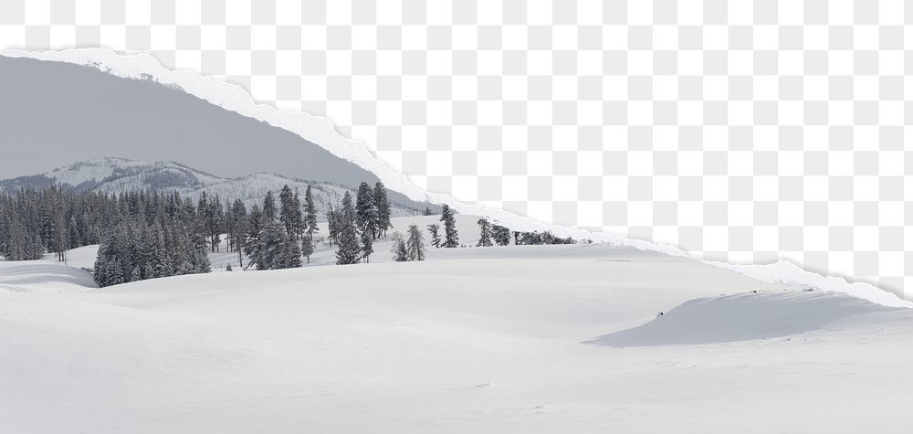 PNG winter border, ripped paper, | Free PNG - rawpixel