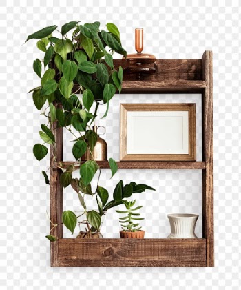 Png wooden shelf mockup with indoor plants… | Free stock illustration | High Resolution graphic