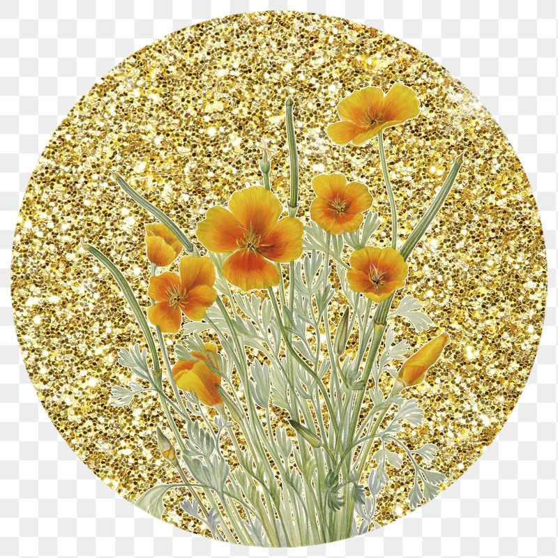Png yellow Mexican poppy flower | Free PNG - rawpixel