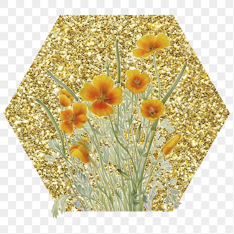Png yellow Mexican poppy flower | Free PNG - rawpixel