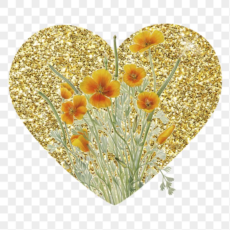 Png yellow Mexican poppy flower | Free PNG - rawpixel