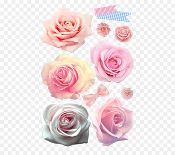 Poems for Everyone Except George Garden roses Cabbage rose Floral design Cut flowers - text 