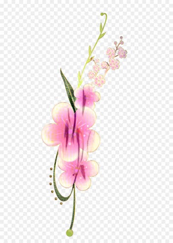 Poetry, Urdu, Ghazal, Flowering Plant, Flower PNG