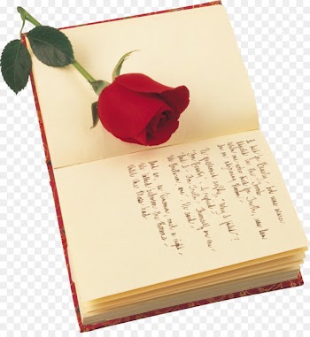Poetry Valentines Day Rose Saint Georges Day Book - notebook 