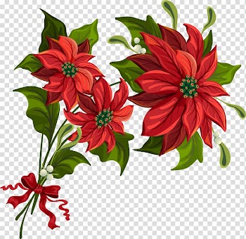 Poinsettia Christmas , Christmas transparent background PNG clipart
