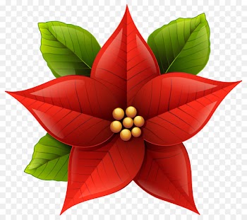 Poinsettia Christmas Clip art - Poinsettia Flower Cliparts 