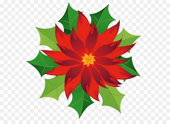 Poinsettia Clip art - Christmas Poinsettia Clipart 