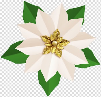 Poinsettia Flower , poinsettia transparent background PNG clipart