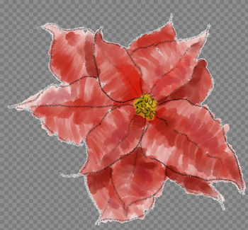 Poinsettia PNG Image
