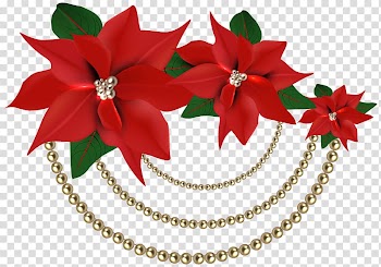 Poinsettia , Poinsettia Christmas decoration , Decorative Christmas Poinsettias with Pearls transparent background PNG clipart