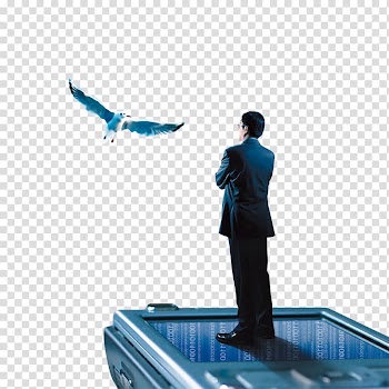 Point of sale Business VeriFone Holdings, Inc., Financial Business Men transparent background PNG clipart