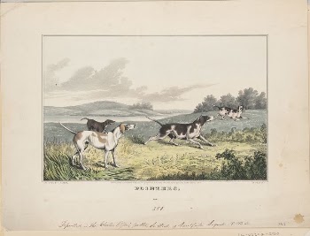 Pointers (1846) by N. Currier | Free Photo - rawpixel