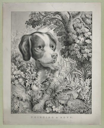 Pointing a bevy (1866) by Currier | Free Photo - rawpixel