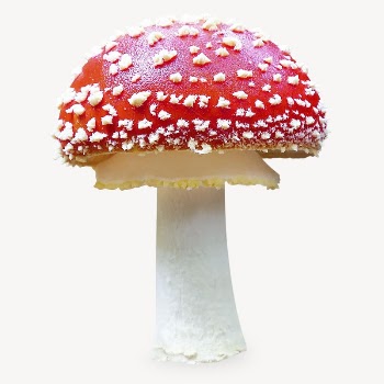 Poisonous mushroom sticker, plant isolated | Free PSD - rawpixel