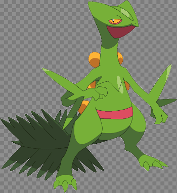 Pokemon 254 Sceptile Pokedex: Evolution, Moves, Location, Stats