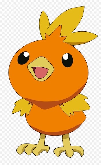 Pokémon X and Y Torchic Pokkén Tournament May - others 