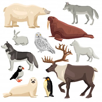 Polar animals set