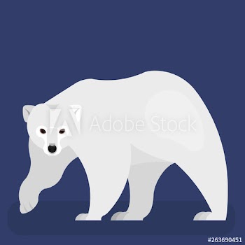 Polar bear