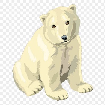 Polar bear baby png sticker | Free PNG - rawpixel