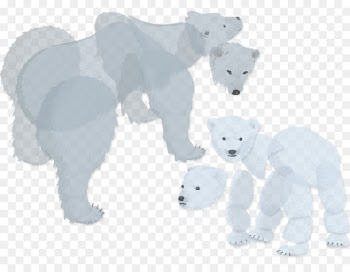 Polar Bear, Bear, Arctic PNG