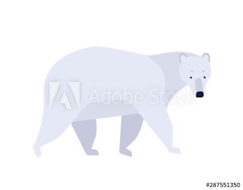 Polar bear flat vector illustration
