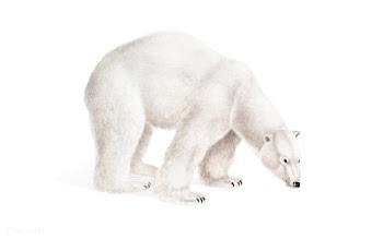 Polar Bear illustration | Free stock vector - 457941