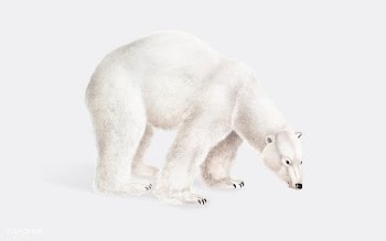 Polar Bear illustration | Free stock vector - 457958