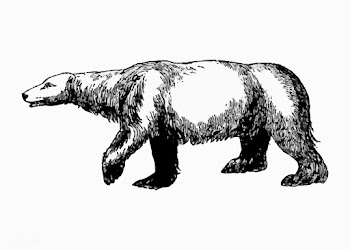 Polar bear vintage drawing | Free stock vector - 573114