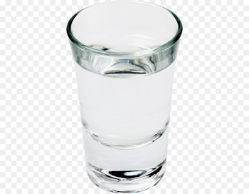 Polar Bear Vodka Goldschläger Schnapps Cocktail - polar bear png ...