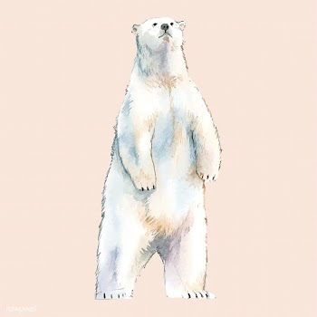Polar bear watercolor style vector | Free stock vector - 489223