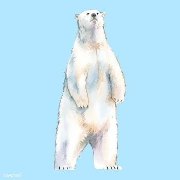 Polar bear watercolor style vector | Free stock vector - 489272