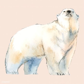 Polar bear watercolor style vector | Free stock vector - 489362