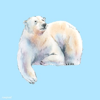 Polar bear watercolor style vector | Free stock vector - 489373